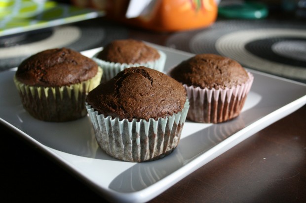cupcake-plain